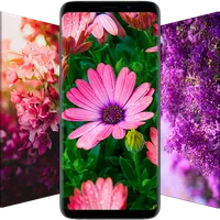 10000+ Flower Wallpapers icon