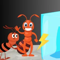 Ants VS Wall icon