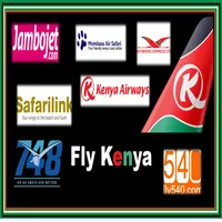 Fly kenya icon