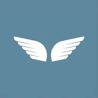 Skyway Driver icon