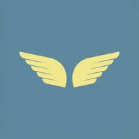 Skyway icon