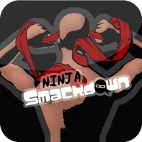 Ninja Smack Down icon