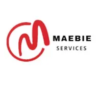 Smart Services icon