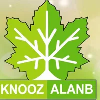 متجر كنوز العنب icon