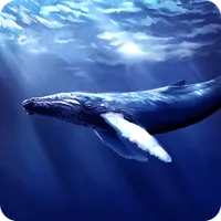 Blue Whale Revange icon