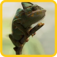 Chameleon tiles icon