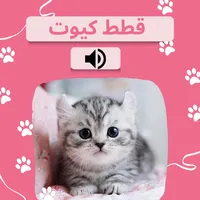 قطط كيوت - صوت قطط icon