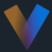 Vizify icon