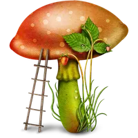 Edible mushroom - Photos icon