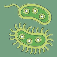 Bacteria: Types, Infections icon