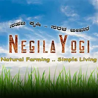 Negila Yogi icon