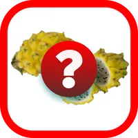 Tebak Gambar Buah V.2 icon