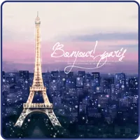 [솜테마] Paris icon