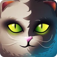 Kedi Cat icon