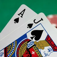 Blackjack Card Counter icon