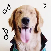 Dogify: Sounds Dogs Love icon