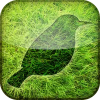 River Meadow Relax & Escape icon