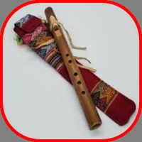 Draw Your American Flute icon