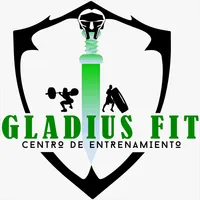 Gladius Fit icon