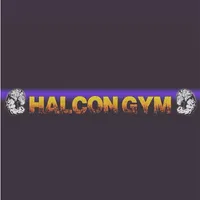 Halcon Gym icon