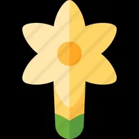 Golden Eclipse Flower icon