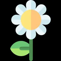 Sedum Angelina icon