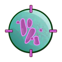 TuberSpot: a game to fight TB icon
