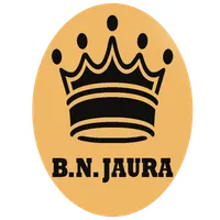 BN BULLION icon