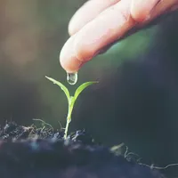 Life Quotes icon