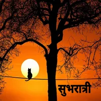 Good Night Shayari Hindi 2024 icon