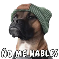 Memes con Frases - WASticker icon