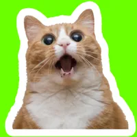 CatStick gatos WAStickerApps icon