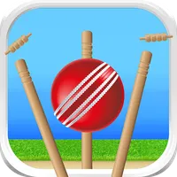 Cricket - Defend the Wicket icon