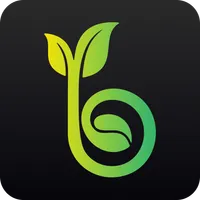RоsТок icon