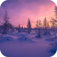 Winter Forest Video Wallpaper icon