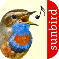 Vogelstimmen Id - Ruf + Gesang icon