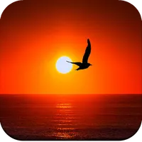 Sunrise Wallpaper icon