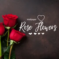Wallpaper Bunga Mawar icon