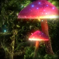 Mushroom  Live Wallpape HD icon