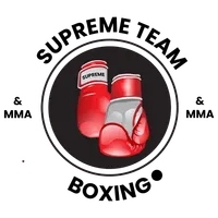 Supreme Team Boxing icon