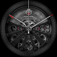 SWF Excelsior Analog Watch Fa. icon