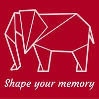 Shape Your Memory icon