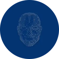 Falcon Fly icon