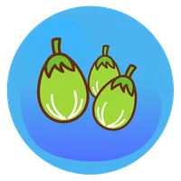 Udupi Mattu Gulla - Brinjal icon