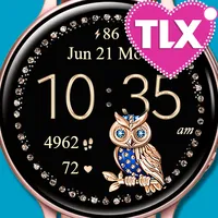 7 Owls Watch icon