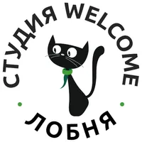 Студия Welcome Лобня icon