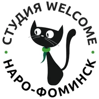 Студия Welcome Наро-Фоминск icon