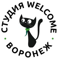 Студия Welcome Воронеж icon