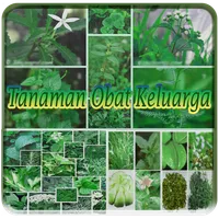 Tanaman Obat Keluarga icon