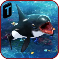 Killer Whale Beach Attack 3D icon